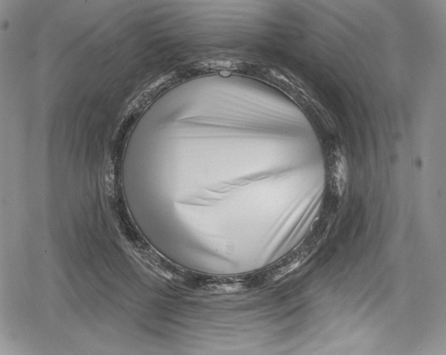 X0000078830552200612111522