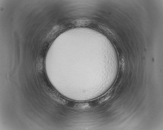 X0000078830554200612111522