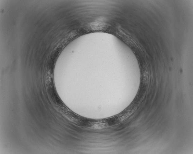 X0000078830555200612111522