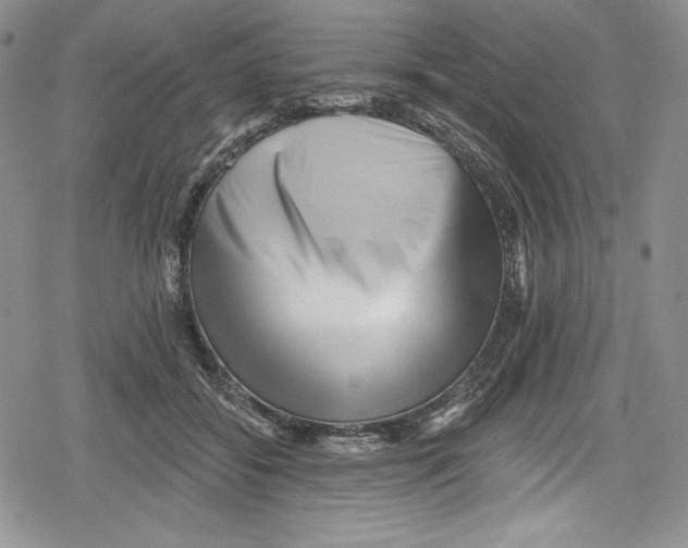 X0000078830556200612111522