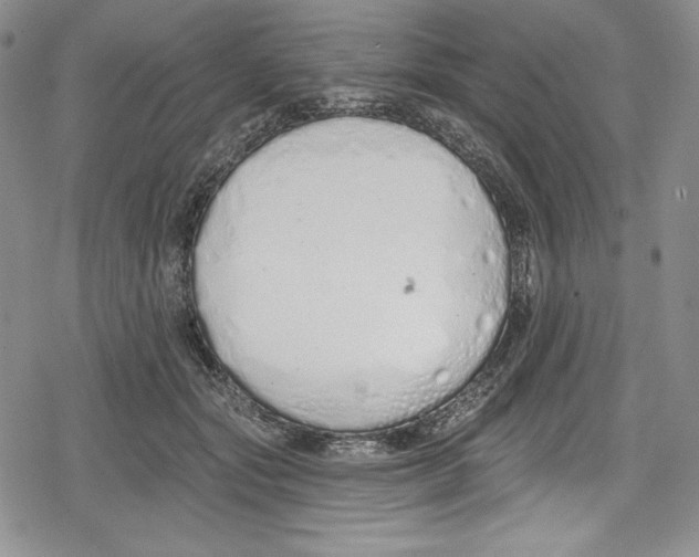 X0000078830557200612111522