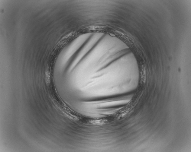 X0000078830558200612111522