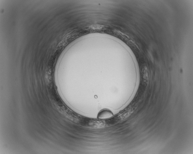 X0000078830559200612111522