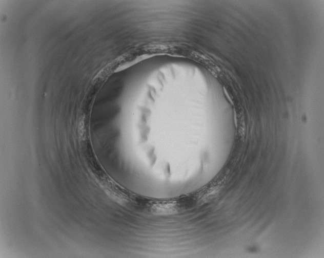 X0000078830560200612111522