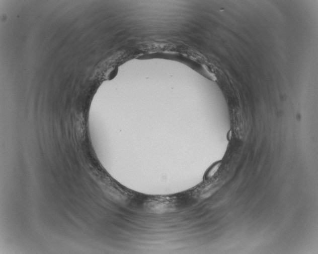 X0000078830563200612111522