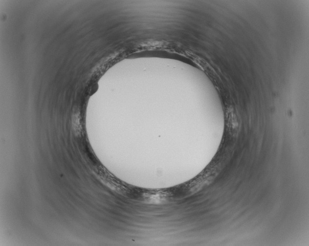 X0000078830564200612111522