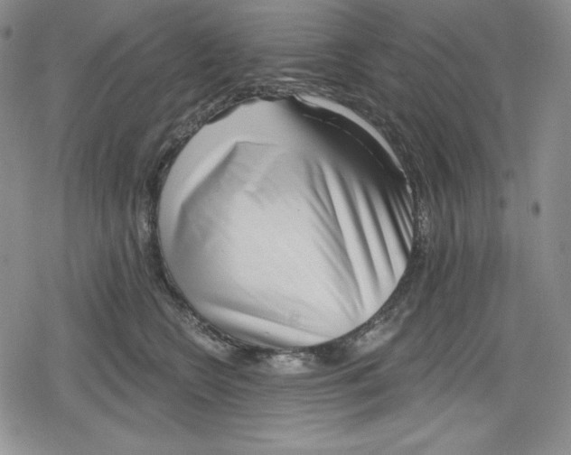 X0000078830566200612111522