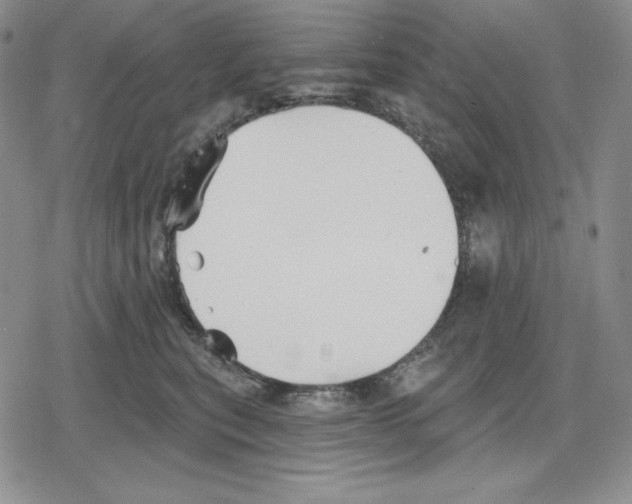 X0000078830567200612111522