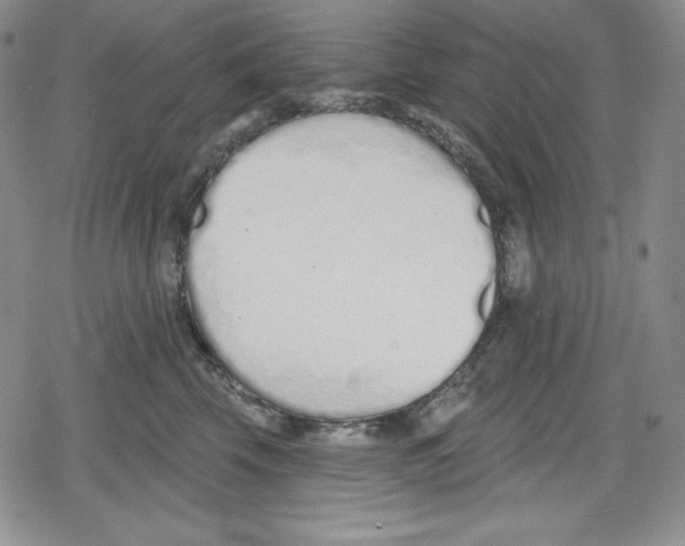 X0000078830569200612111522