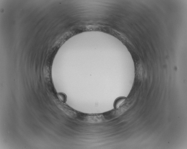 X0000078830571200612111522