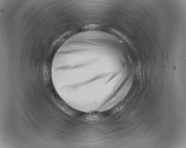 X0000078830572200612111522