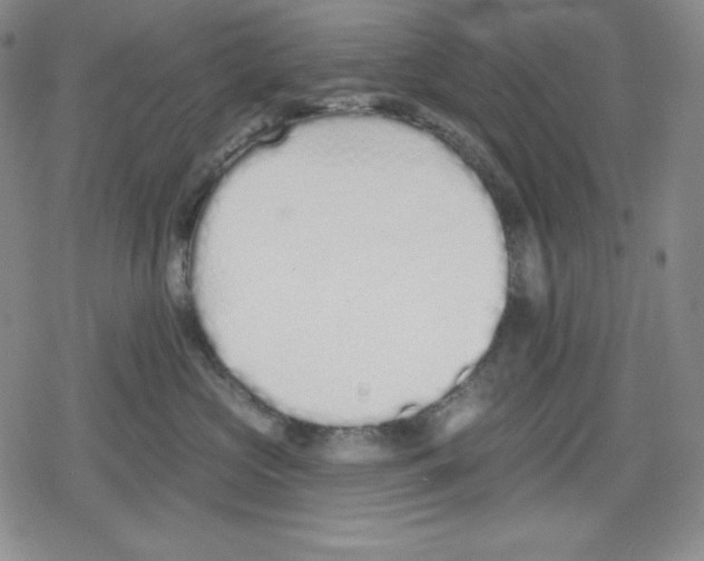 X0000078830573200612111522