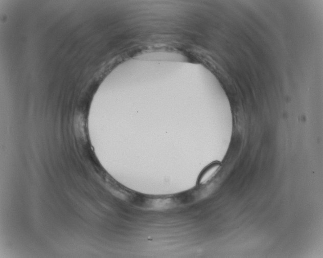 X0000078830575200612111522