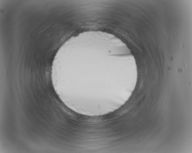 X0000078830576200612111522