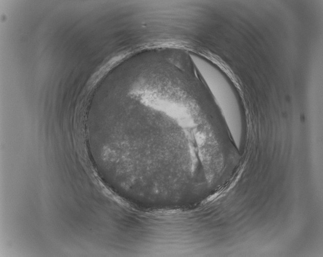 X0000078830577200612111522