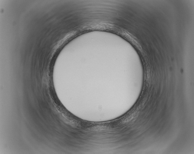 X0000078830578200612111522