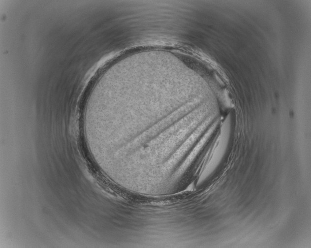 X0000078830580200612111522