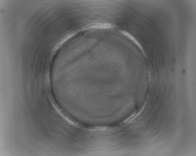 X0000078830581200612111522