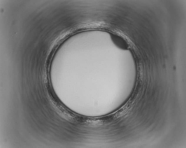 X0000078830582200612111522