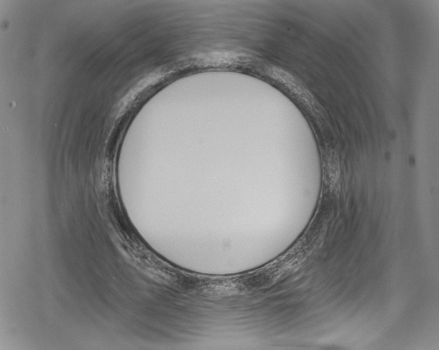 X0000078830583200612111522