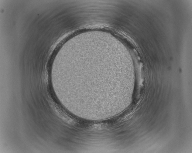 X0000078830584200612111522