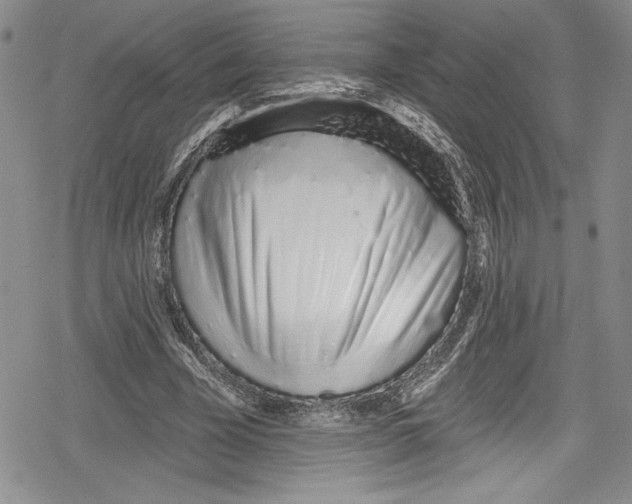 X0000078830585200612111522