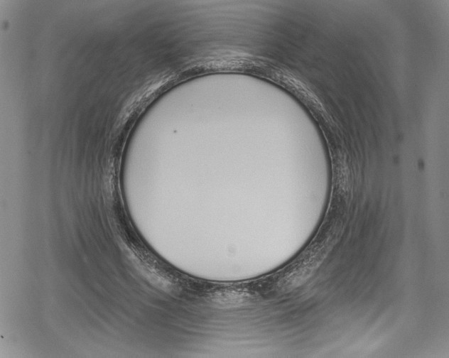 X0000078830586200612111522