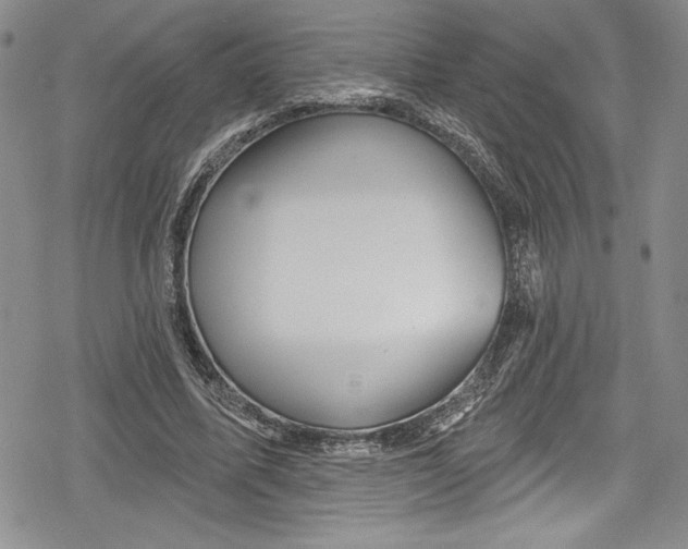 X0000078830587200612111522