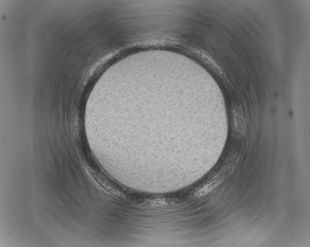 X0000078830588200612111522