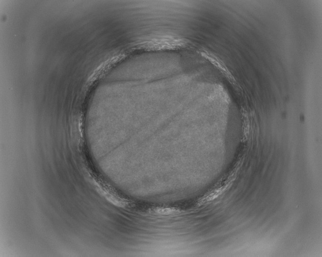 X0000078830590200612111521