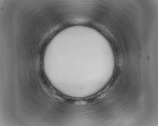 X0000078830591200612111521