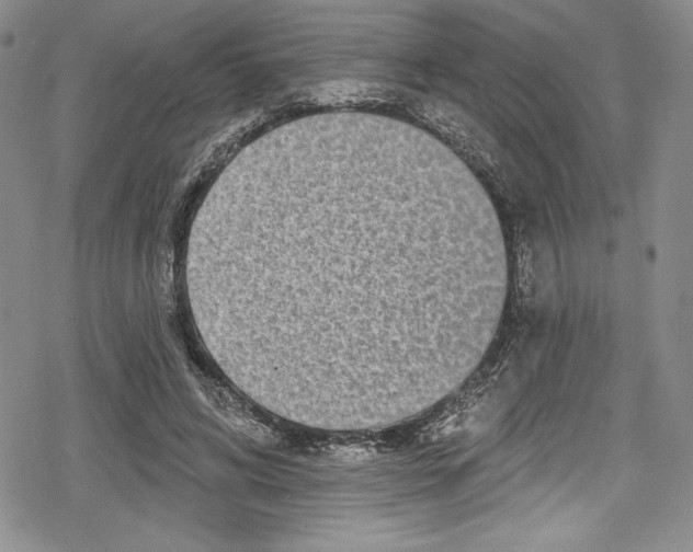 X0000078830592200612111521