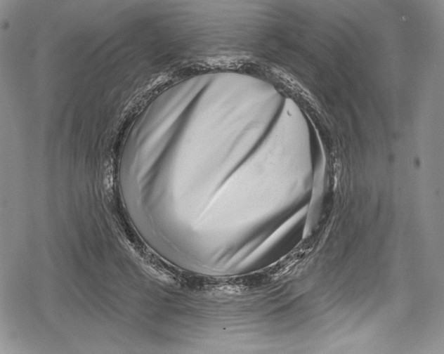 X0000078830593200612111521