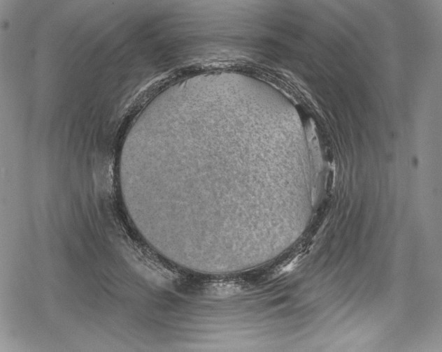 X0000078830596200612111521