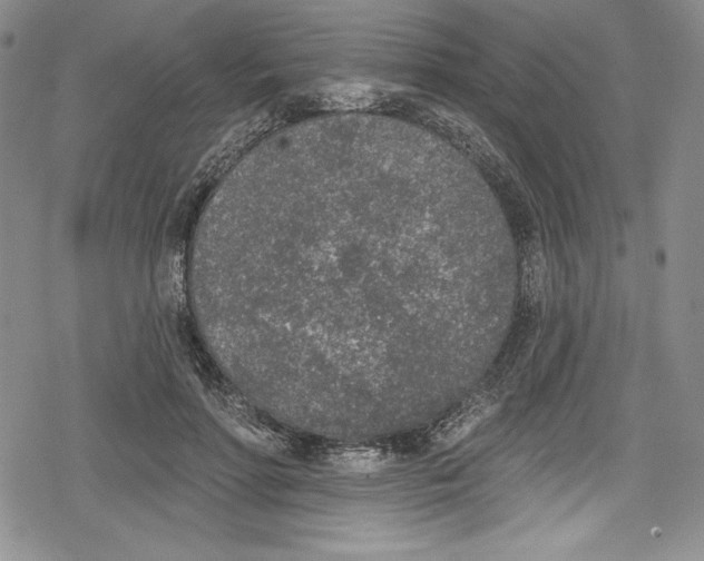 X0000078830598200612111521