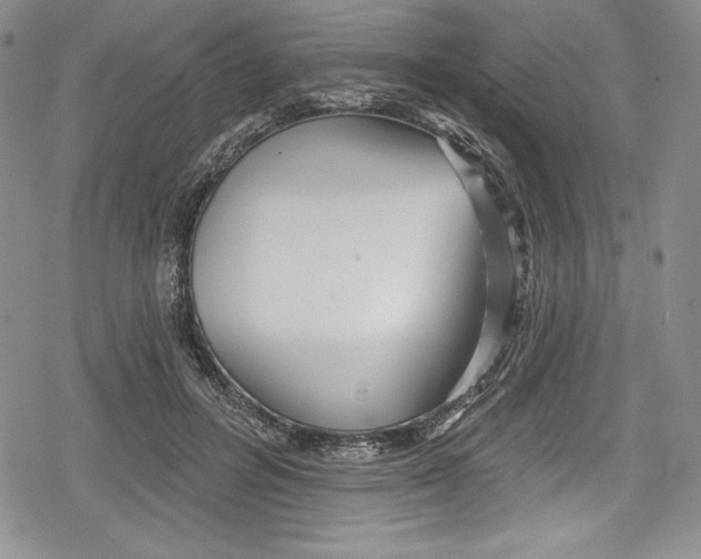 X0000078830600200612111521