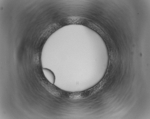 X0000078830602200612111521