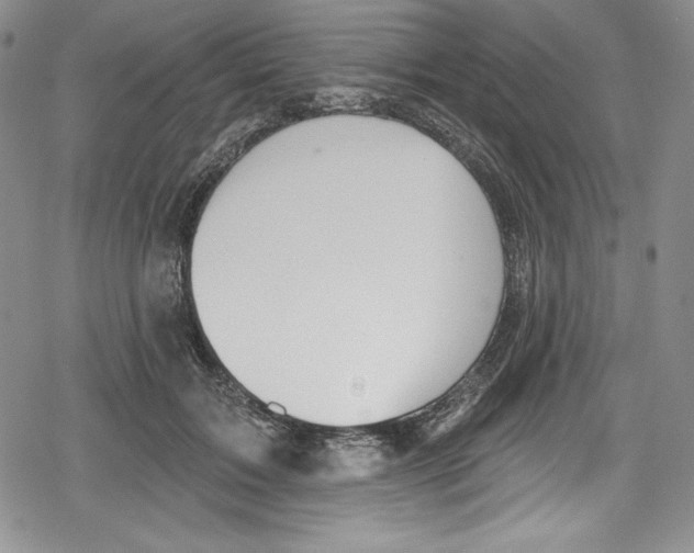 X0000078830603200612111521