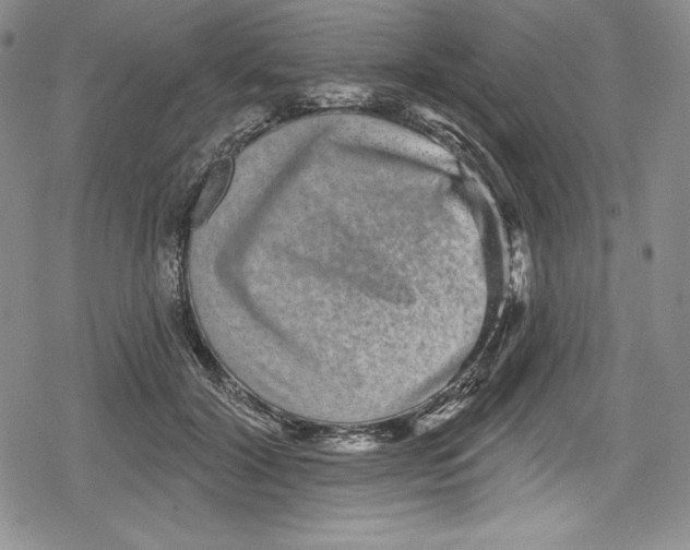 X0000078830604200612111521