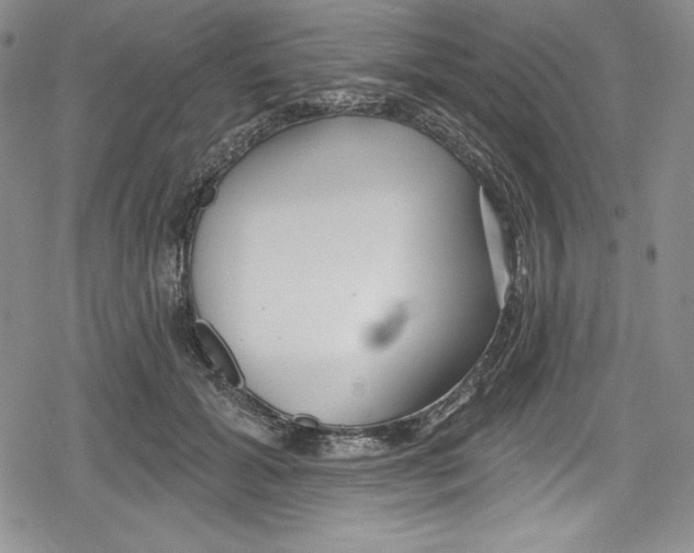 X0000078830605200612111521