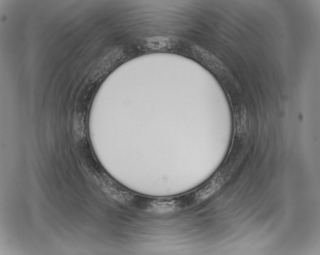 X0000078830606200612111521