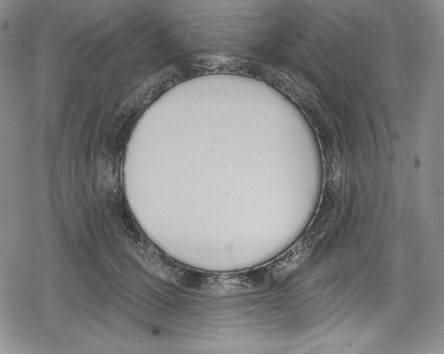 X0000078830607200612111521