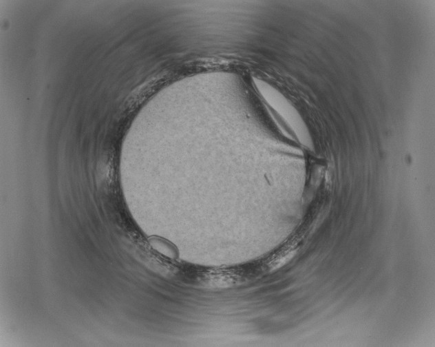 X0000078830608200612111521