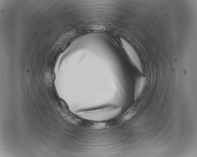 X0000078830609200612111521