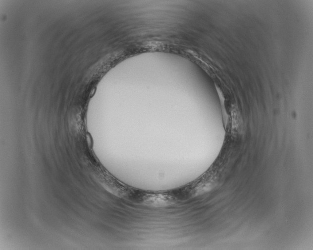 X0000078830611200612111521