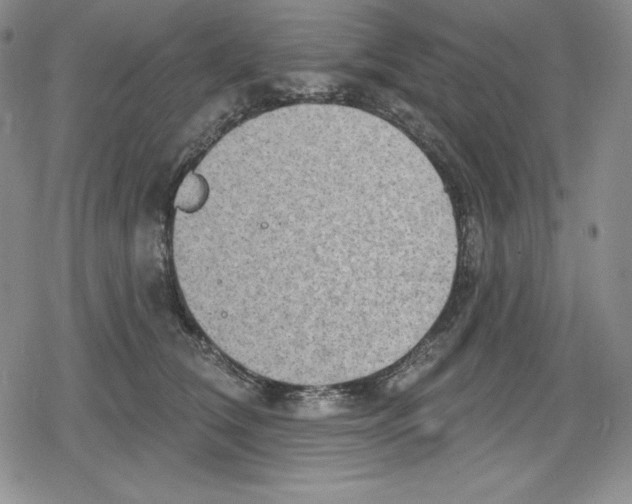 X0000078830612200612111521