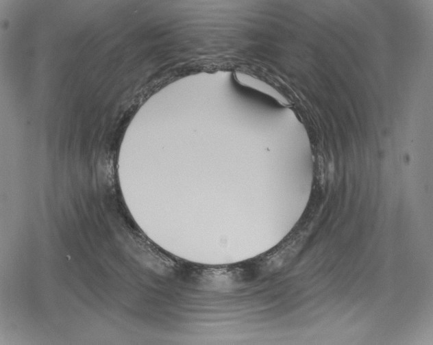 X0000078830613200612111521