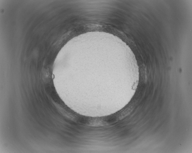 X0000078830614200612111521