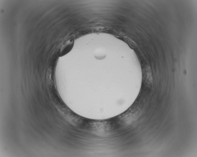 X0000078830615200612111521