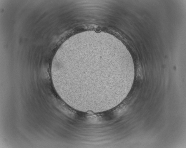 X0000078830616200612111521